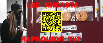 spice Кимры