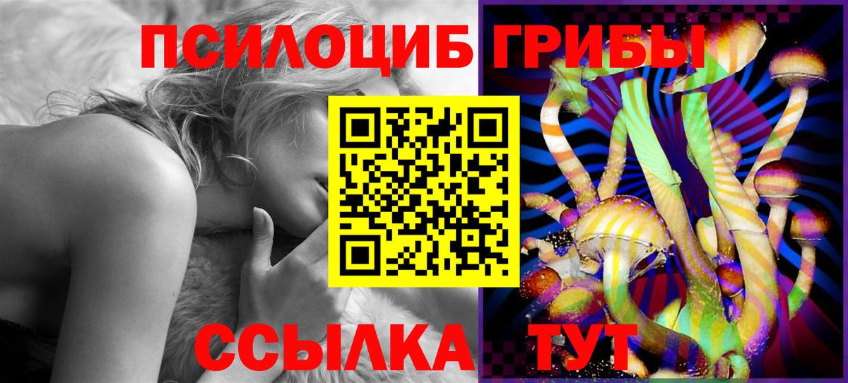 Кувандык  Галлюциногенные грибы MAGIC MUSHROOMS  Вход с VPN 
