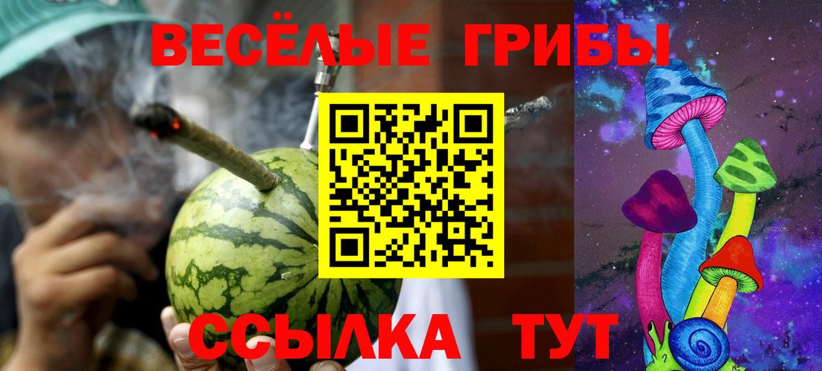 Псилоцибиновые грибы Psilocybine cubensis Кувандык